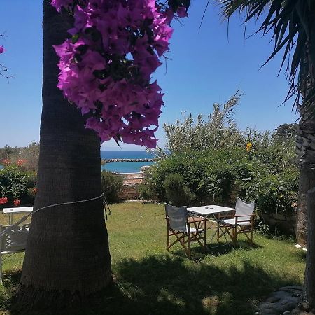 Nikoleta'S Studios Δρυός Εξωτερικό φωτογραφία