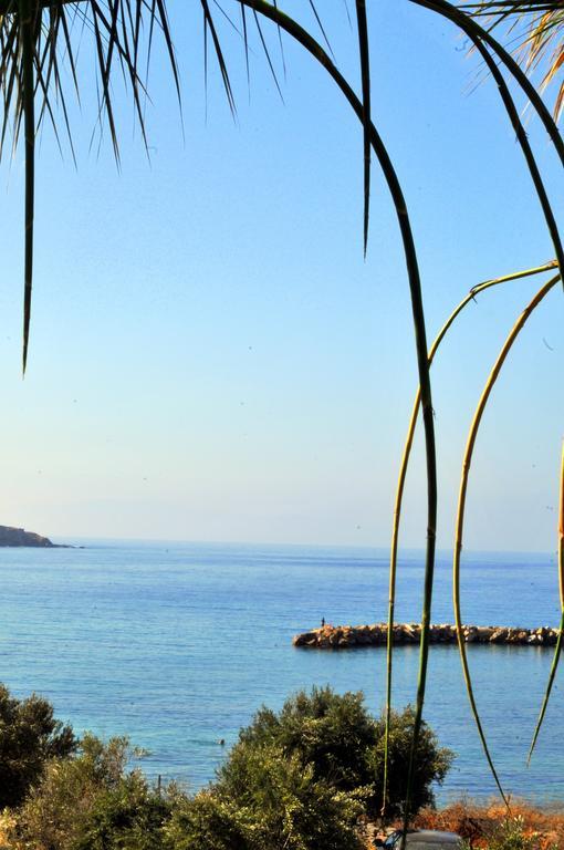 Nikoleta'S Studios Δρυός Δωμάτιο φωτογραφία