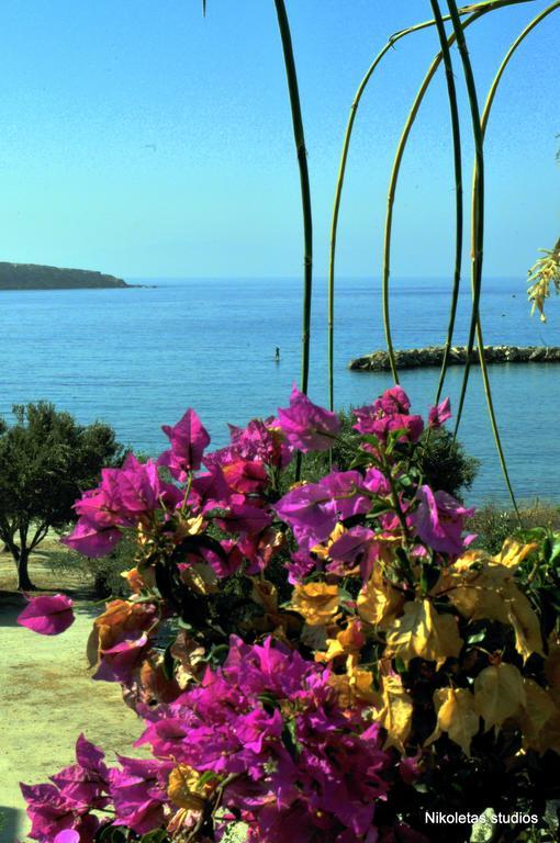 Nikoleta'S Studios Δρυός Εξωτερικό φωτογραφία