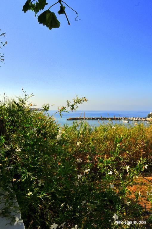 Nikoleta'S Studios Δρυός Δωμάτιο φωτογραφία