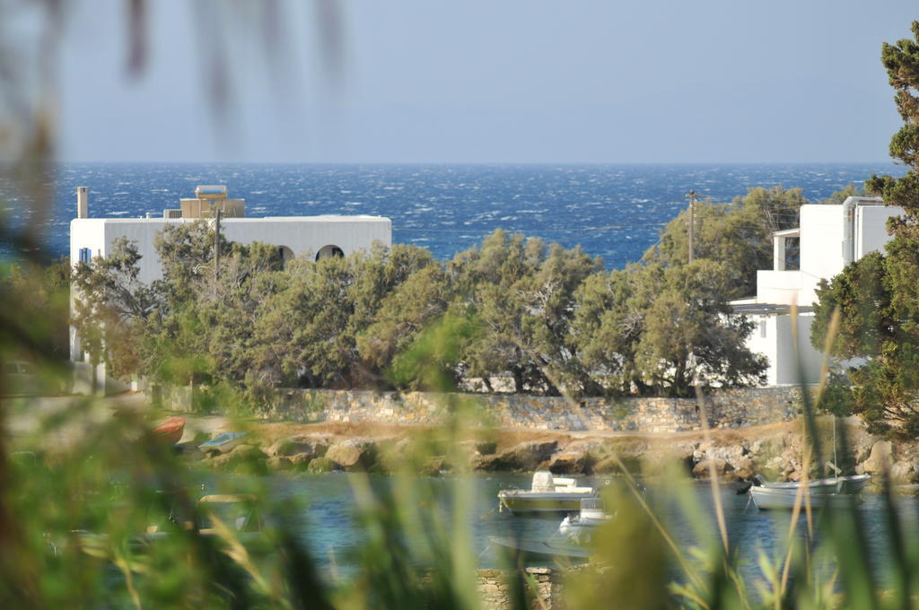Nikoleta'S Studios Δρυός Δωμάτιο φωτογραφία